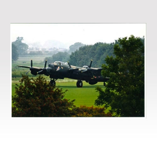 NX611 in the trees